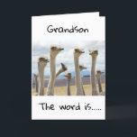 **13** YOU ARE NOW A TEENAGER **GRANDSON** CARD<br><div class="desc">HAPPY BIRTHDAY  ***GRANDSON**** THANKS FOR STOPPING BY ONE OF MY EIGHT STORES!</div>