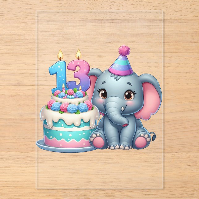 13th Birthday Elephant Cake Acrylic Invitations (Front)