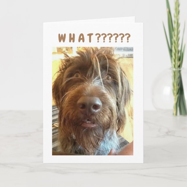 *13th BIRTHDAY* FROM GRIFFON Card (Front)