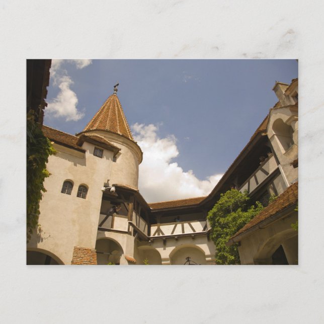 13th Century Bran Castle (Draculas' Castle), Postcard (Front)