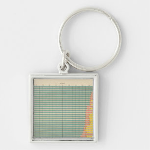 143 Farm area by tenure Keychain