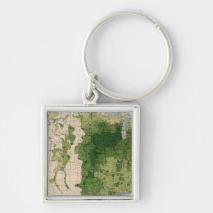 147 Neat cattle/sq mile Keychain