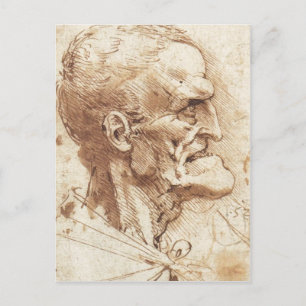 1487 1490 ) is a drawing by Leonardo da Vinci Sour Postcard