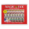 14.25" wide 2026 USA Magic Eye Calendar