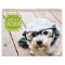 14 Photo Full Coverage - Modern Minimal Design