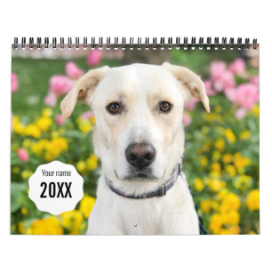 14 Photo Full Coverage - Modern Personalized  Calendar