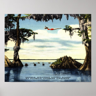 14 x 11 Diving Scene, Cypress Florida Poster