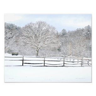14 x 11  Walden Woods Project Farm Photo Print