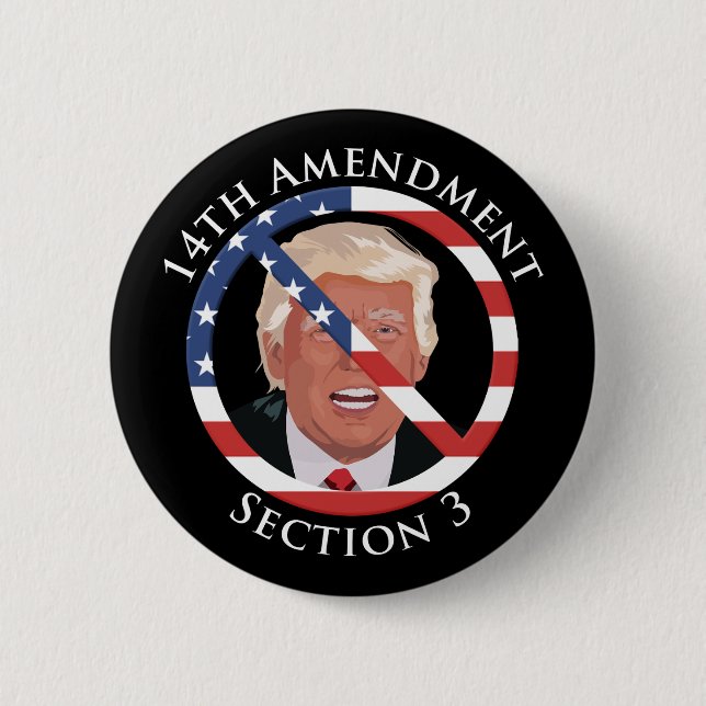 14th Amendment Anti-Trump 2 Inch Round Button (Front)