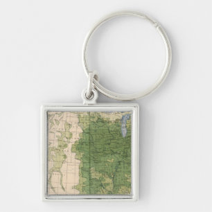 154 Corn/sq mile Keychain