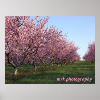 158, mrk photography poster