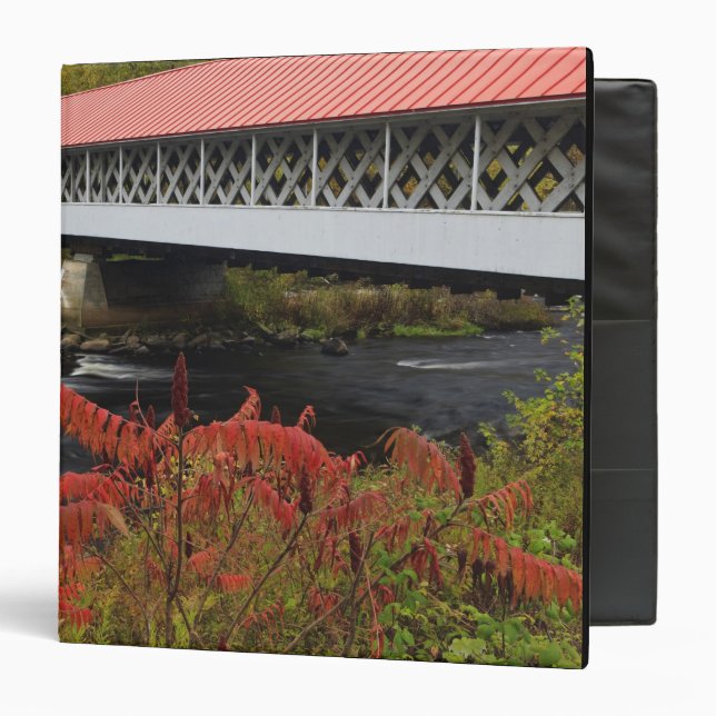 159-foot Ashuelot Covered bridge spanning Binder (Front/Inside)