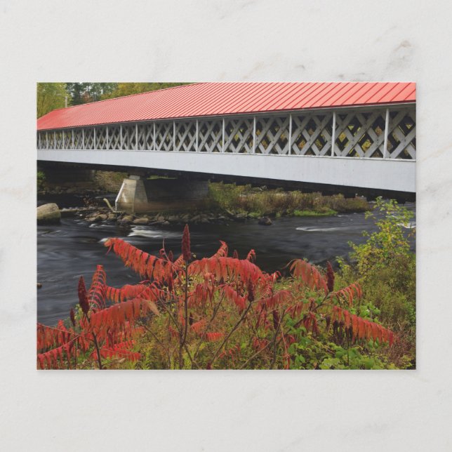 159-foot Ashuelot Covered bridge spanning Postcard (Front)