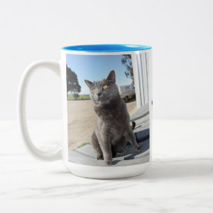 15 oz. Cat Mug