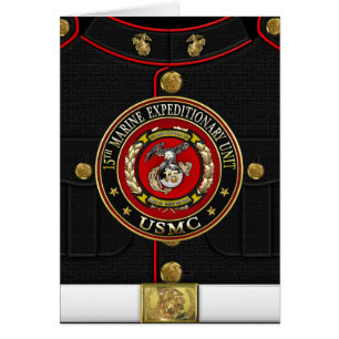 15th Marine Expeditionary Unit (15th MEU) [3D]
