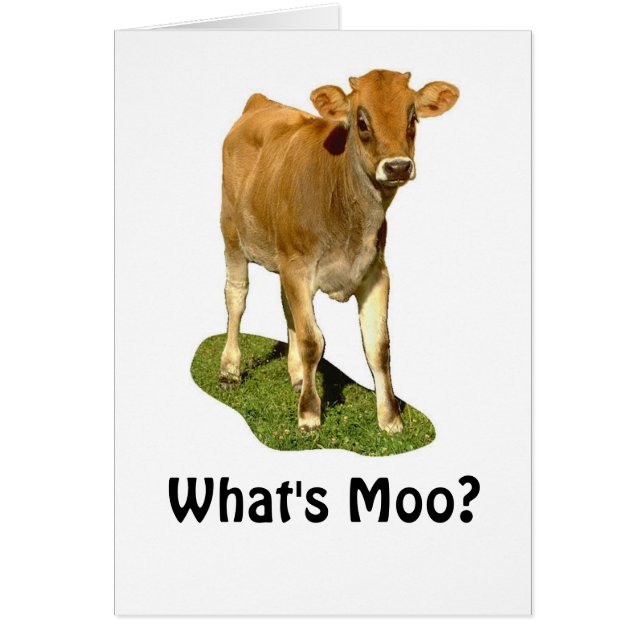 1607513, Qu'est-ce que Moo ? (Devant)