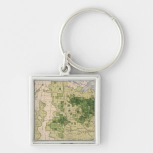 160 Rye/sq mile Keychain
