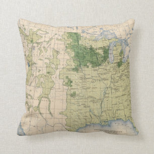 161 Barley/sq mile Throw Pillow