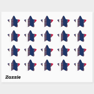 166 STAR STICKER