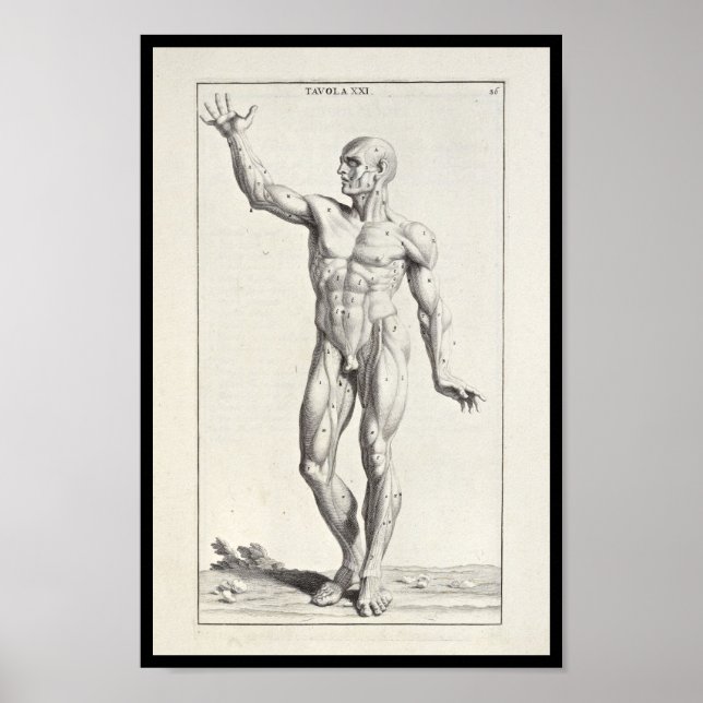 1691 Artistic Anatomy Muscles Body Art Print (Front)