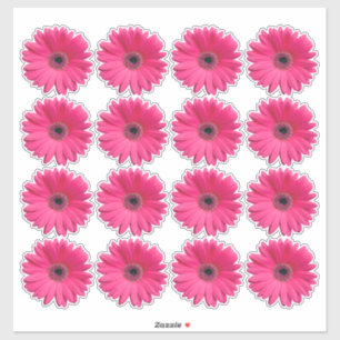 16 autocollants en forme de fleur de gerbera rose