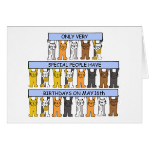 16 mai Cartoon Cats