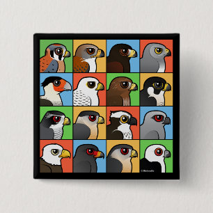 16 North American Raptor Profiles 2 Inch Square Button