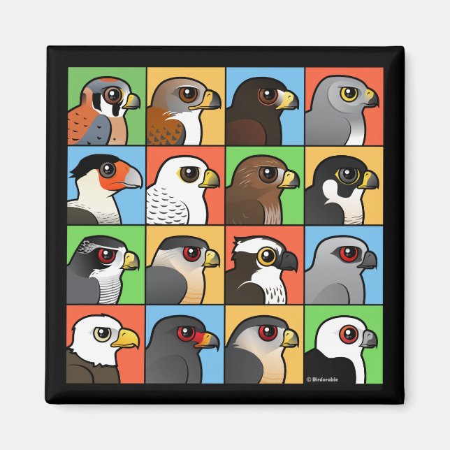 16 North American Raptor Profiles Magnet (Front)