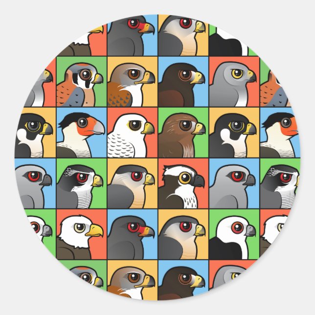 16 North American Raptor Profiles (tiled) Classic Round Sticker (Front)