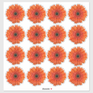 16 Stickers Kiss-Cut Orange Gerbera Daisy