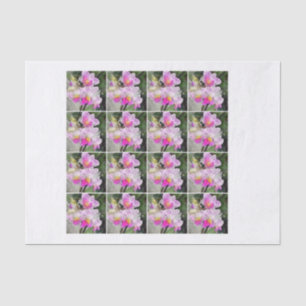 16 watercolor pink orchid decoupage chintz tissue paper