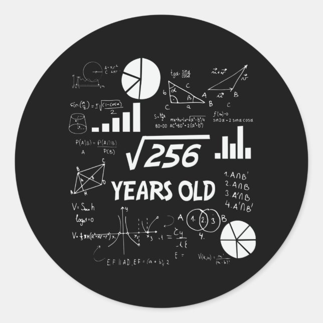 16 Year Old Bday Geeky Math 16th birthday Gift Classic Round Sticker (Front)