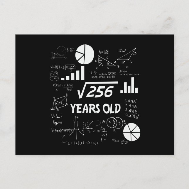 16 Year Old Bday Geeky Math 16th birthday Gift Postcard (Front)