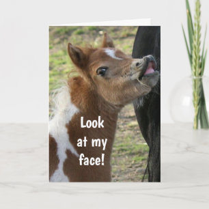 **16e ANNIVERSAIRE** Carte PONY SURPIRÉE