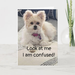 **16e ANNIVERSAIRE** SI CONFUS ! Carte