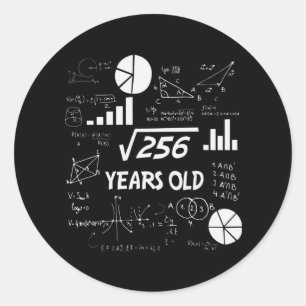 16th Birthday Square Root Math 16 Years Old Bday Classic Round Sticker