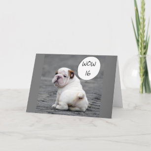 **16th BRITHDAY SAYS BULLDOG*** Card