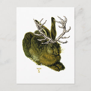16th century Jackalope Postcard