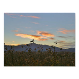 16x12 photo print