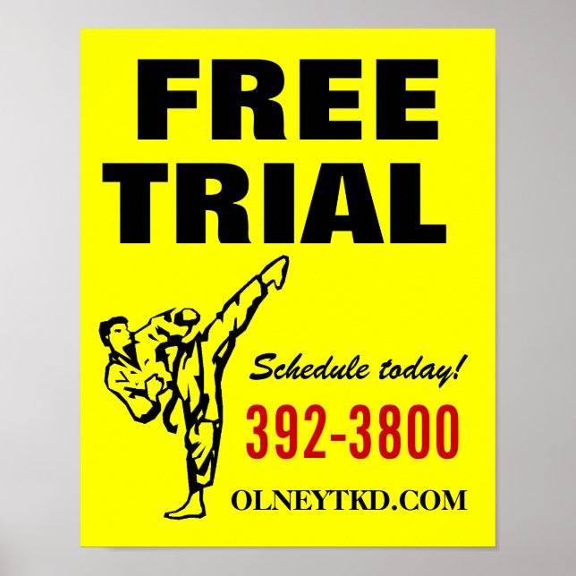 16x20 Free Trial karate poster (Front)