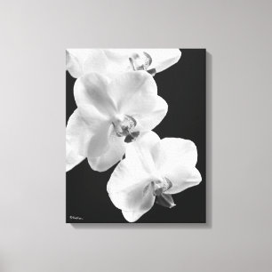16X20 Orchids in Black&White Wrapped Canvas Art