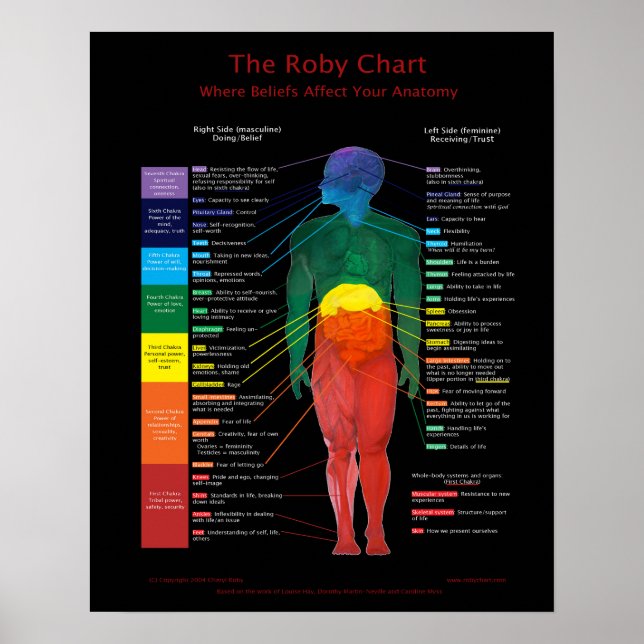 16x20" Roby Chart:Where beliefs affect anatomy Poster (Front)