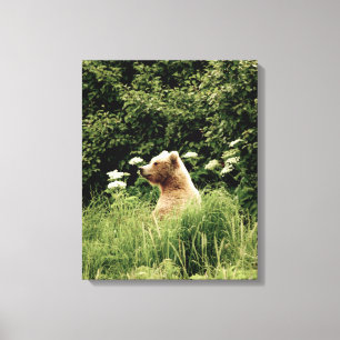 16x20 Toile enveloppée (Gloss) avec ours grizzli