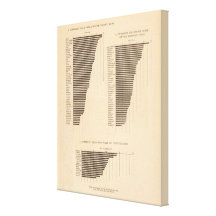 170 Wheat, buckwheat, cotton/acre Gallery Wrapped Canvas