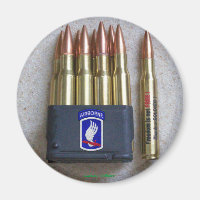 173rd ABN BDE Airborne Brigade Sky Soldiers Vets