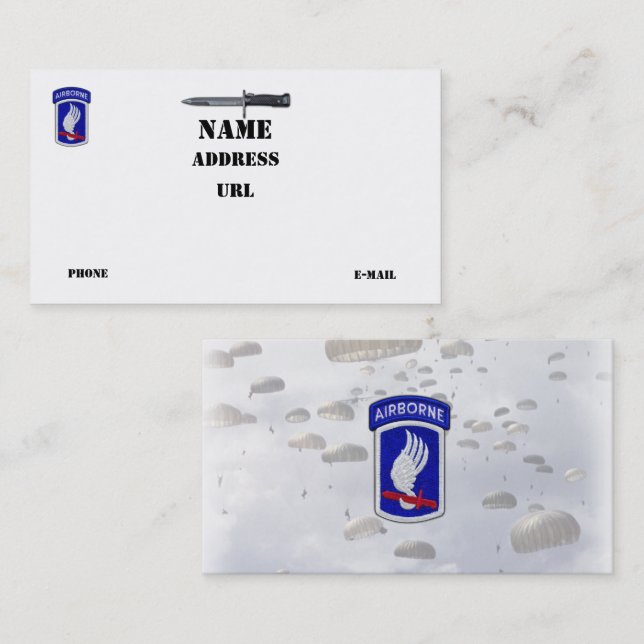 173rd ABN BDE Airborne sky soldiers veterans vets Business Card (Front/Back)