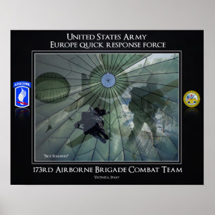 173rd Airborne Brigade Combat Team Poster