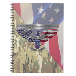 173rd Airborne Brigade Notebook