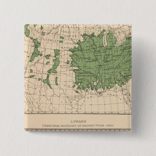 174 Apples, pears, principal regions 2 Inch Square Button (Front)