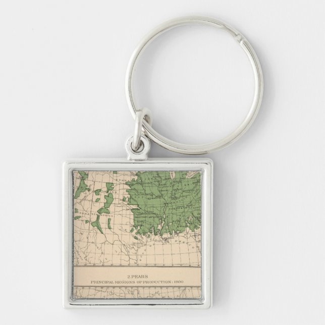 174 Apples, pears, principal regions Keychain (Front)
